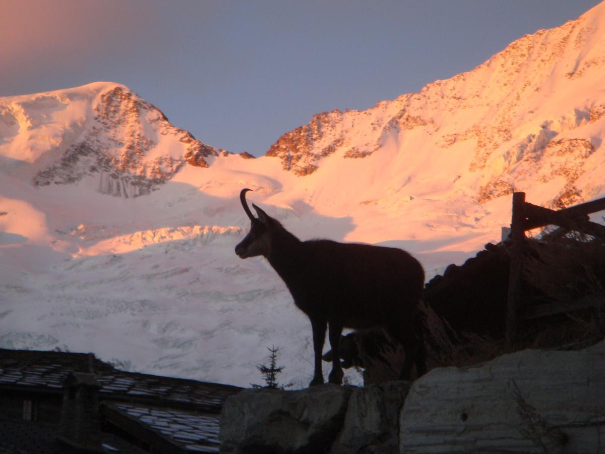 Stirling Luxury * Saas Fee